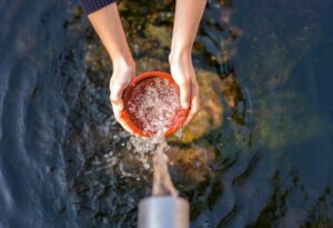 Cómo ahorrar agua mediante un buen mantenimiento de la cisterna
