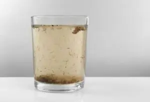 Enfermedades transmitidas por el agua
