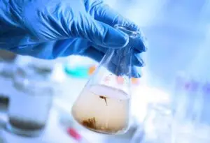 La importancia de la prevención de contaminación del agua