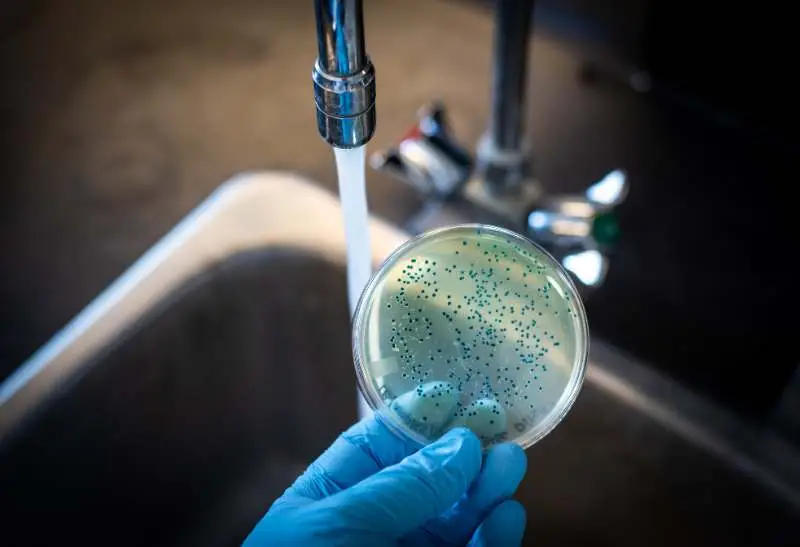 contaminación del agua