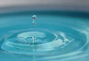 enfermedades transmitidas por el agua