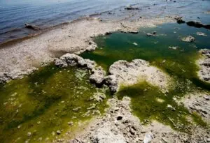 prevención de contaminación del agua